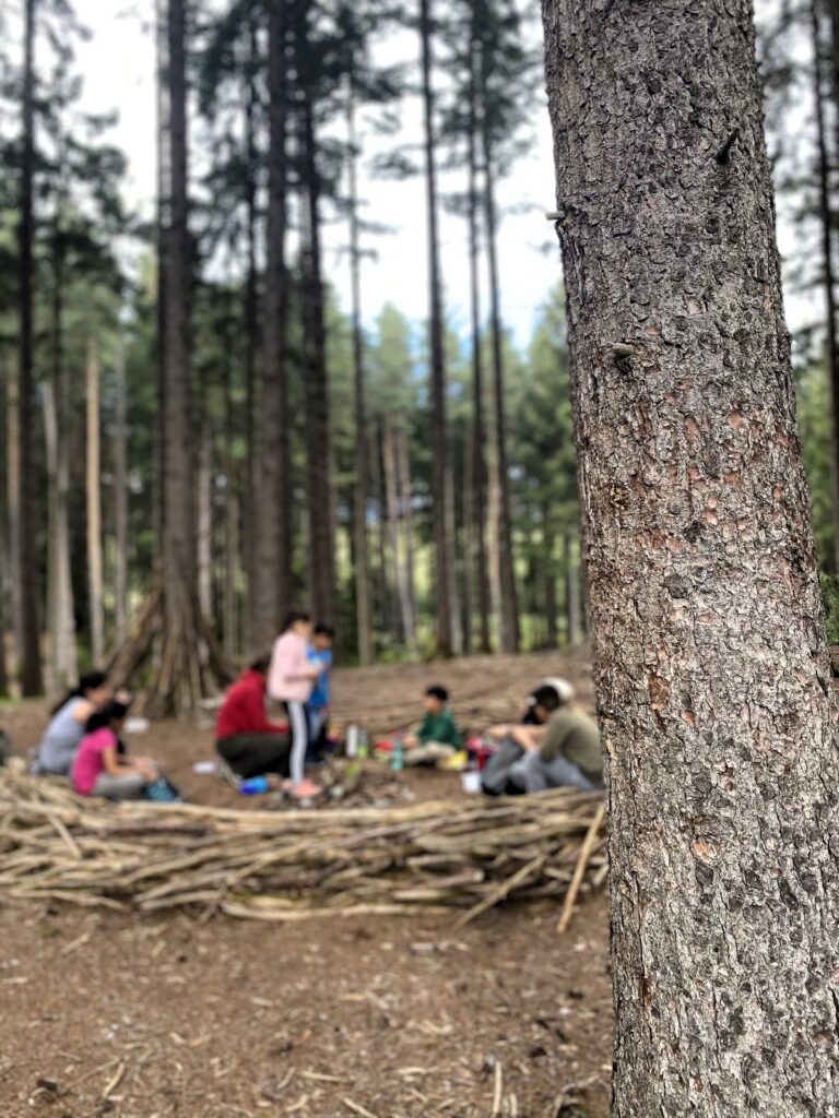 Kinder im Wald